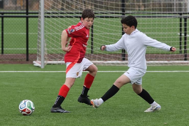 klik hier voor de originele foto (371kB - 1600x1068)