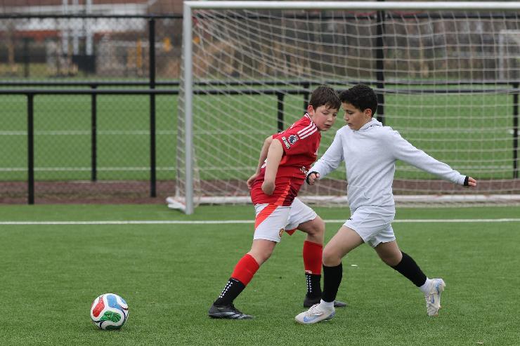 klik hier voor de originele foto (335kB - 1600x1068)