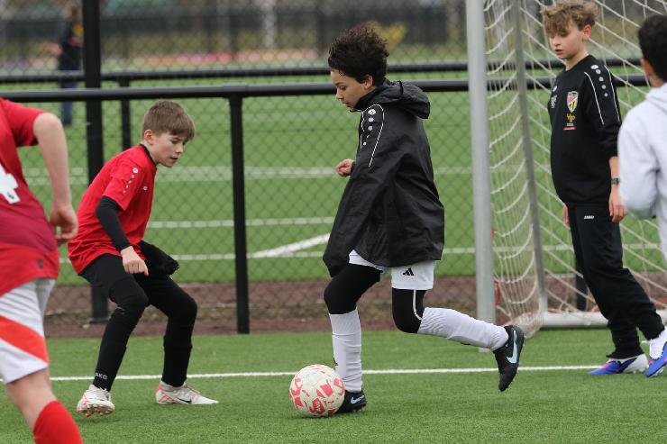 klik hier voor de originele foto (297kB - 1600x1068)