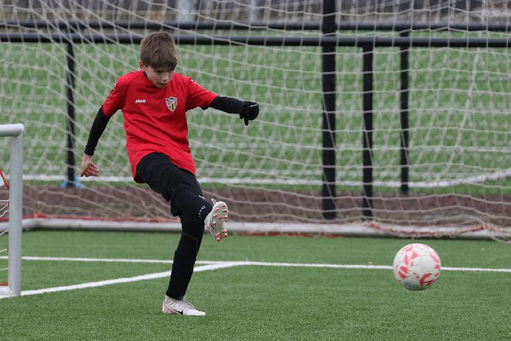 klik hier voor de originele foto (332kB - 1600x1067)