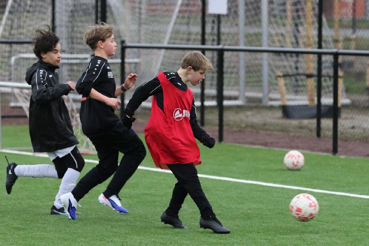 klik hier voor de originele foto (293kB - 1600x1068)