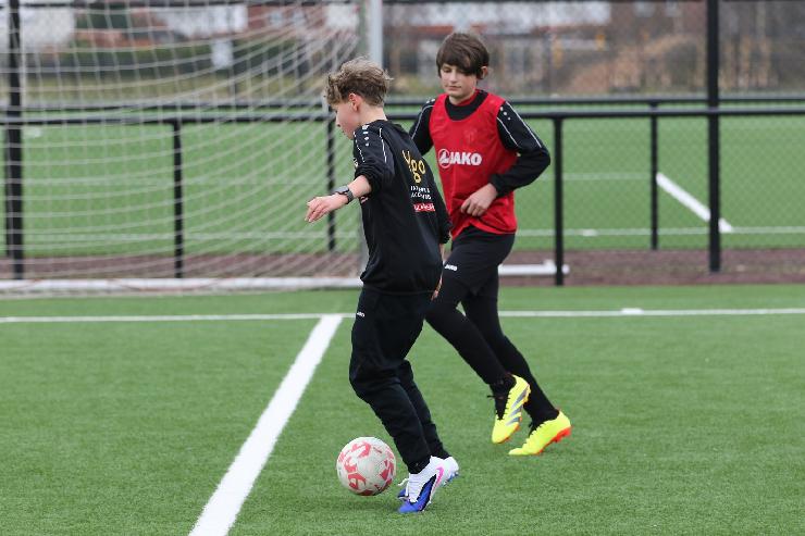 klik hier voor de originele foto (284kB - 1600x1067)