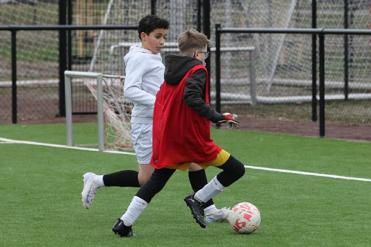 klik hier voor de originele foto (320kB - 1600x1068)