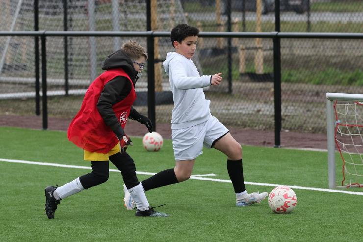 klik hier voor de originele foto (330kB - 1600x1068)