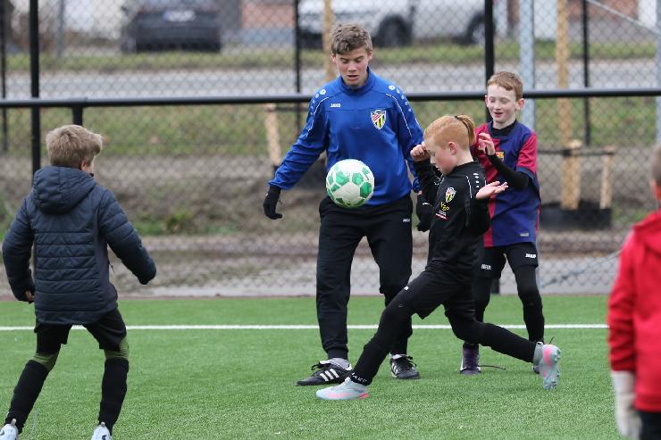 klik hier voor de originele foto (336kB - 1600x1068)