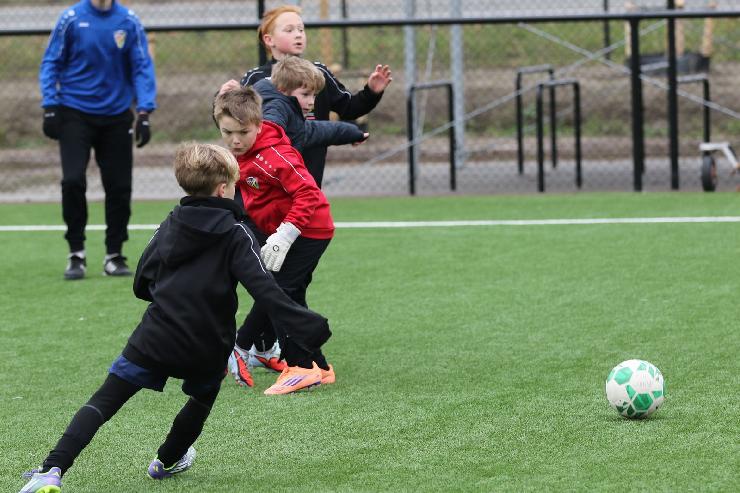 klik hier voor de originele foto (358kB - 1600x1068)