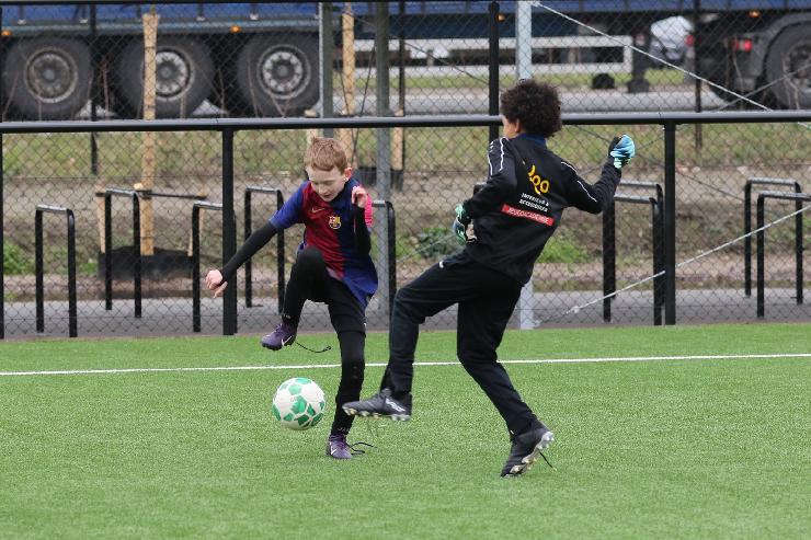 klik hier voor de originele foto (444kB - 1600x1068)