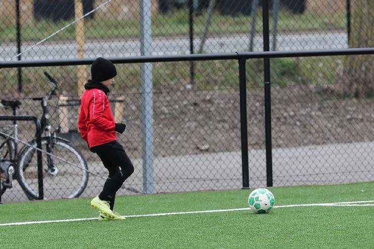 klik hier voor de originele foto (375kB - 1600x1068)