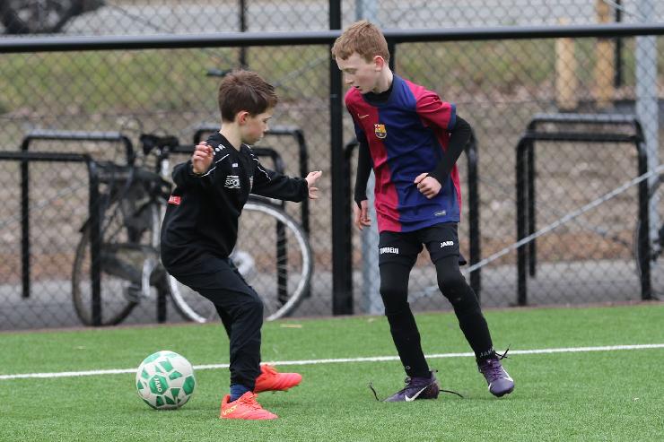 klik hier voor de originele foto (324kB - 1600x1068)