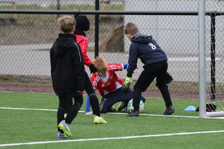 klik hier voor de originele foto (351kB - 1600x1068)