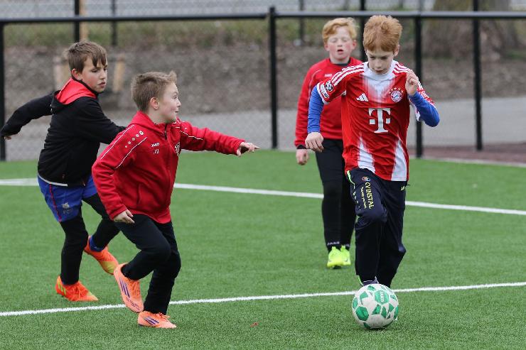 klik hier voor de originele foto (347kB - 1600x1068)