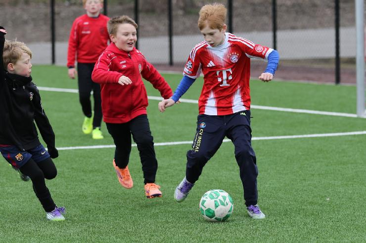 klik hier voor de originele foto (344kB - 1600x1068)