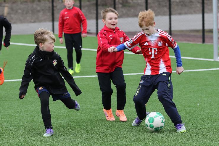 klik hier voor de originele foto (395kB - 1600x1068)