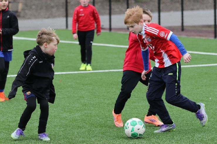 klik hier voor de originele foto (328kB - 1600x1068)