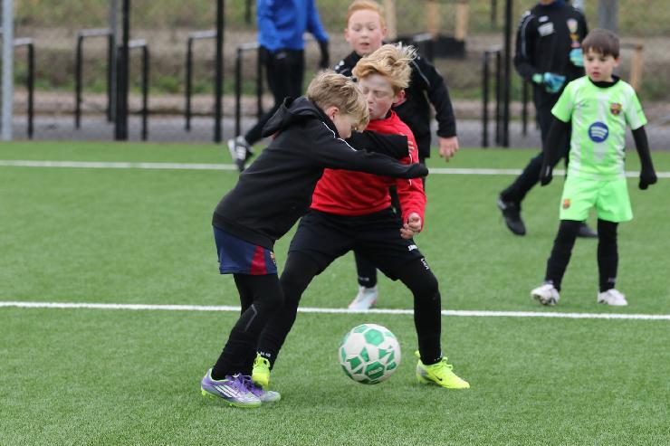 klik hier voor de originele foto (301kB - 1600x1068)