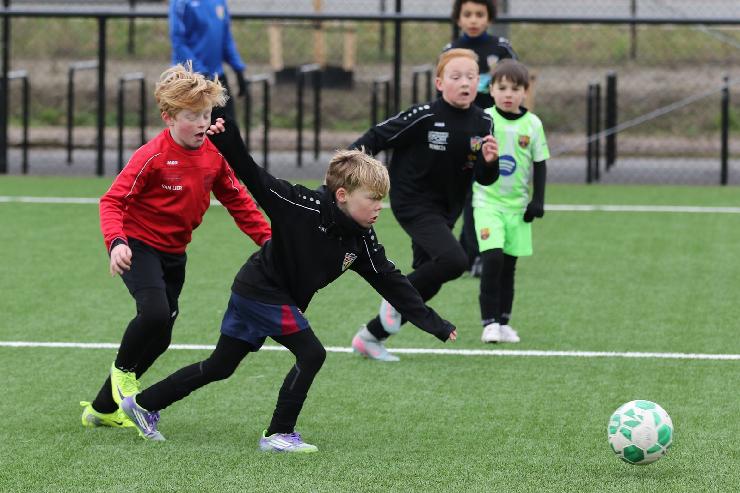 klik hier voor de originele foto (326kB - 1600x1068)