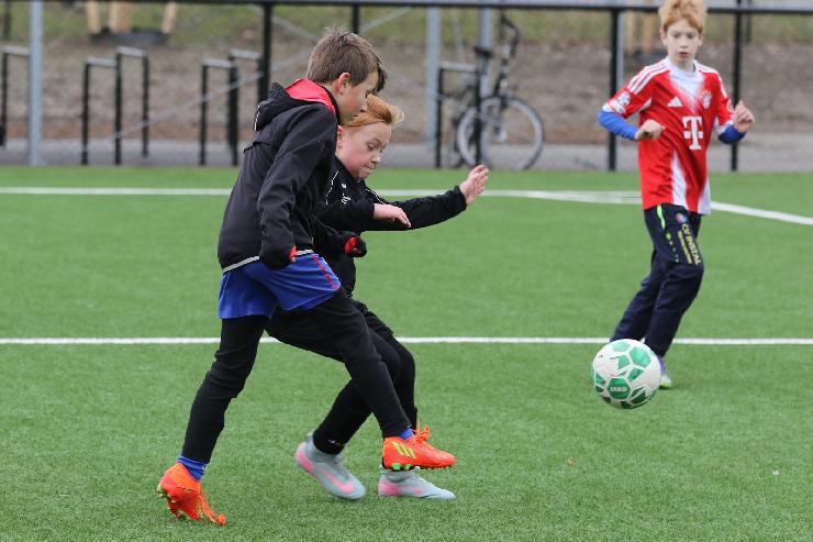 klik hier voor de originele foto (304kB - 1600x1068)