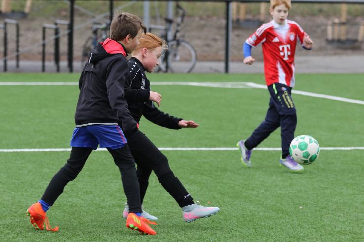 klik hier voor de originele foto (265kB - 1600x1068)