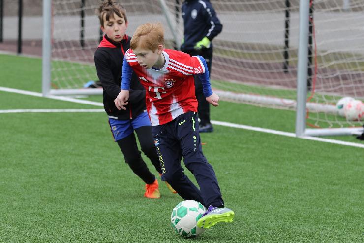 klik hier voor de originele foto (324kB - 1600x1068)