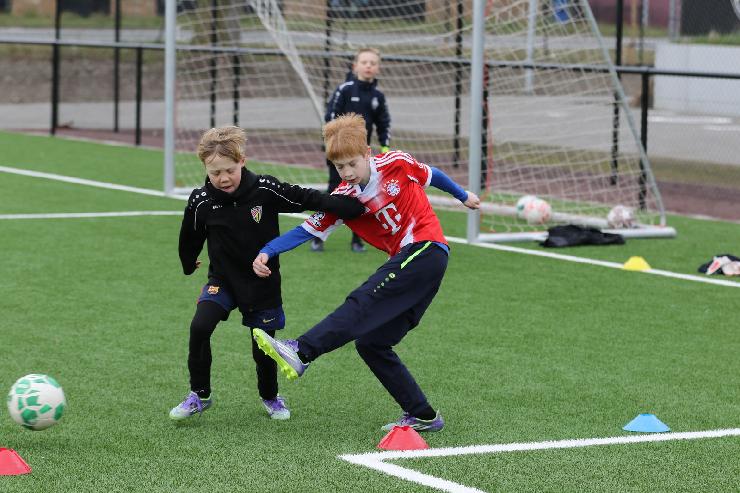 klik hier voor de originele foto (369kB - 1600x1067)