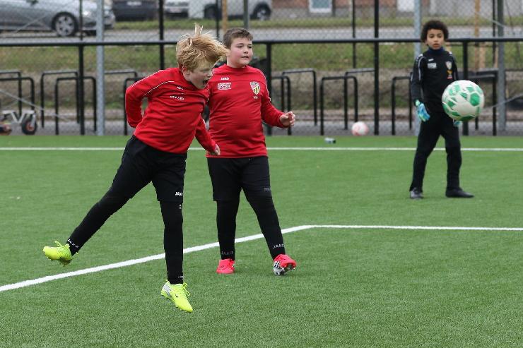 klik hier voor de originele foto (371kB - 1600x1068)