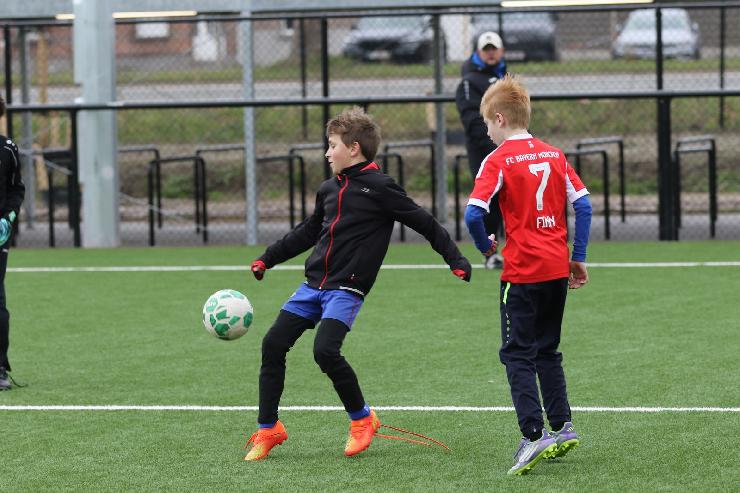 klik hier voor de originele foto (332kB - 1600x1068)