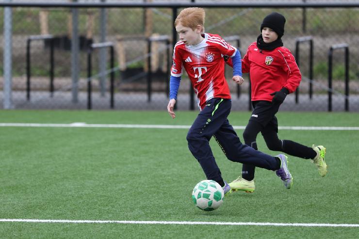 klik hier voor de originele foto (283kB - 1600x1067)