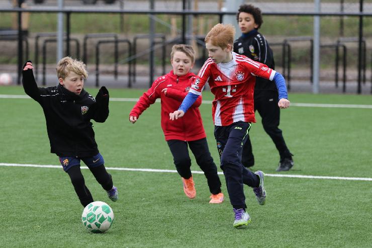 klik hier voor de originele foto (315kB - 1600x1067)