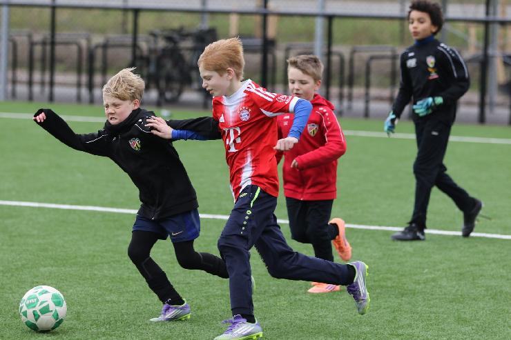 klik hier voor de originele foto (285kB - 1600x1067)