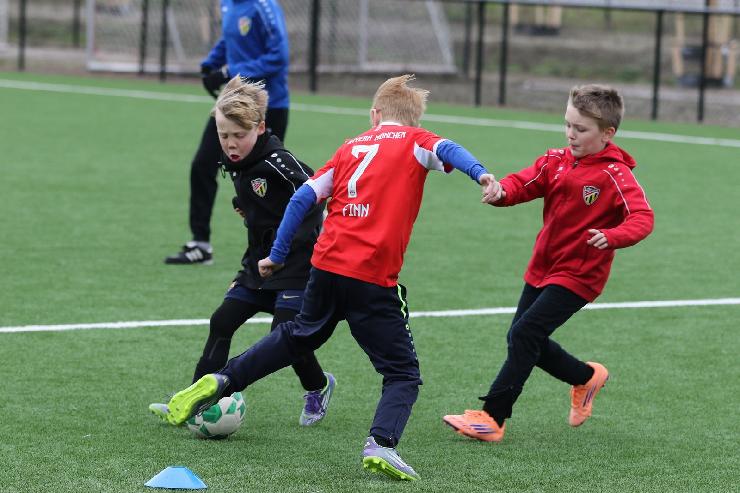 klik hier voor de originele foto (317kB - 1600x1068)