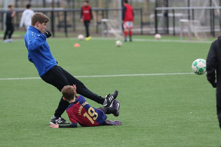 klik hier voor de originele foto (255kB - 1600x1068)