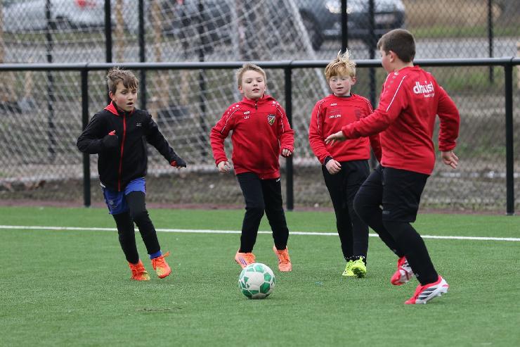 klik hier voor de originele foto (341kB - 1600x1068)