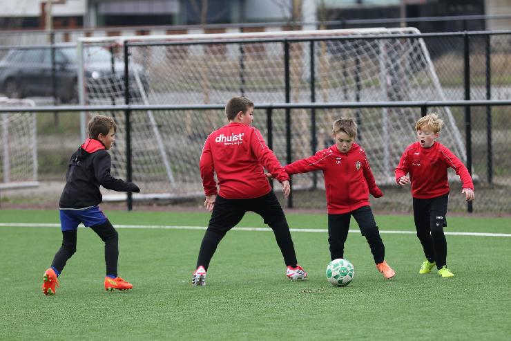 klik hier voor de originele foto (340kB - 1600x1067)