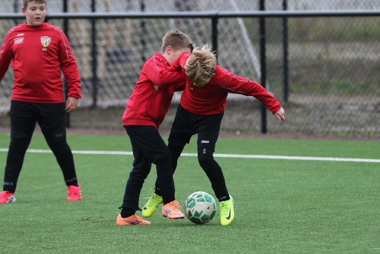 klik hier voor de originele foto (310kB - 1600x1069)