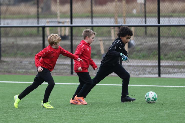 klik hier voor de originele foto (316kB - 1600x1068)