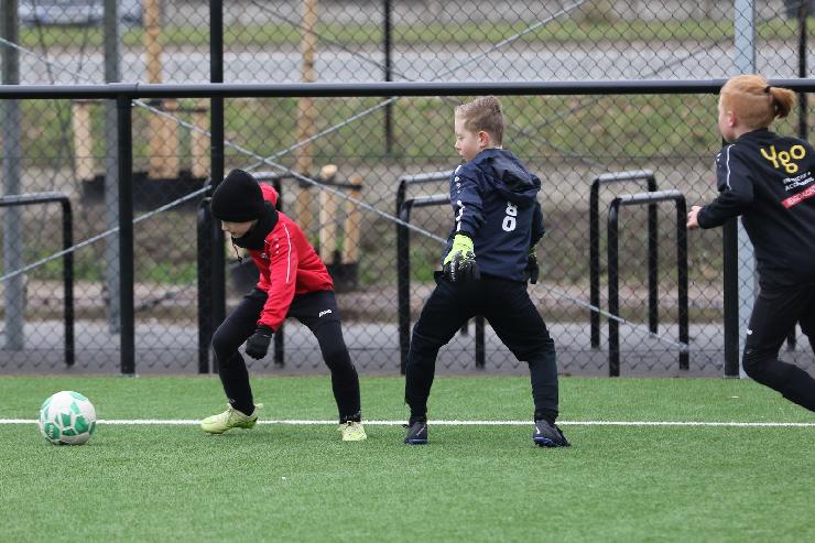 klik hier voor de originele foto (376kB - 1600x1068)