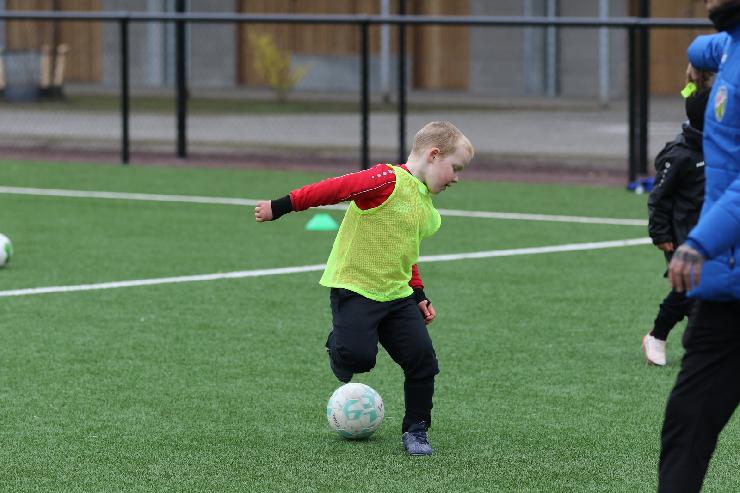 klik hier voor de originele foto (310kB - 1600x1067)