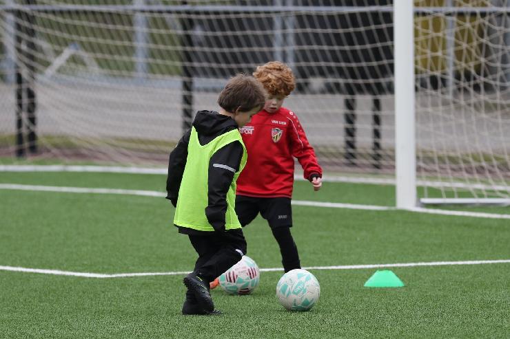 klik hier voor de originele foto (323kB - 1600x1068)