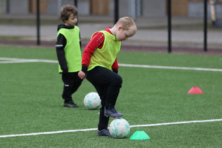 klik hier voor de originele foto (288kB - 1600x1068)