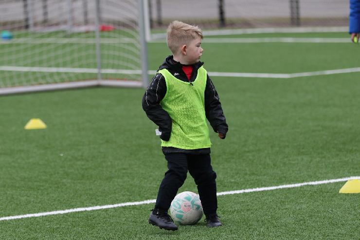 klik hier voor de originele foto (285kB - 1600x1068)