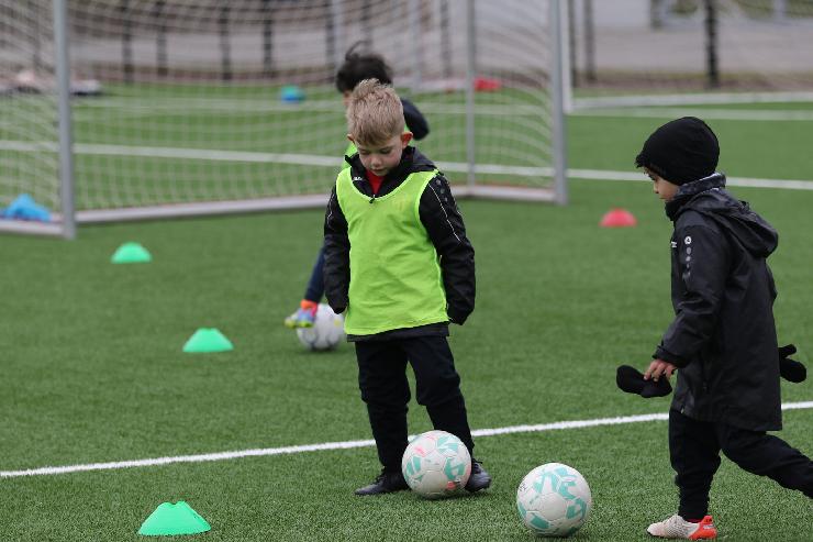 klik hier voor de originele foto (286kB - 1600x1067)