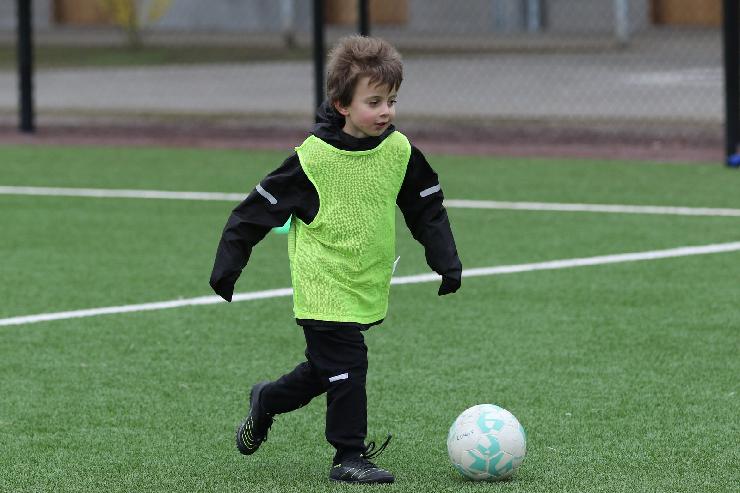 klik hier voor de originele foto (309kB - 1600x1068)