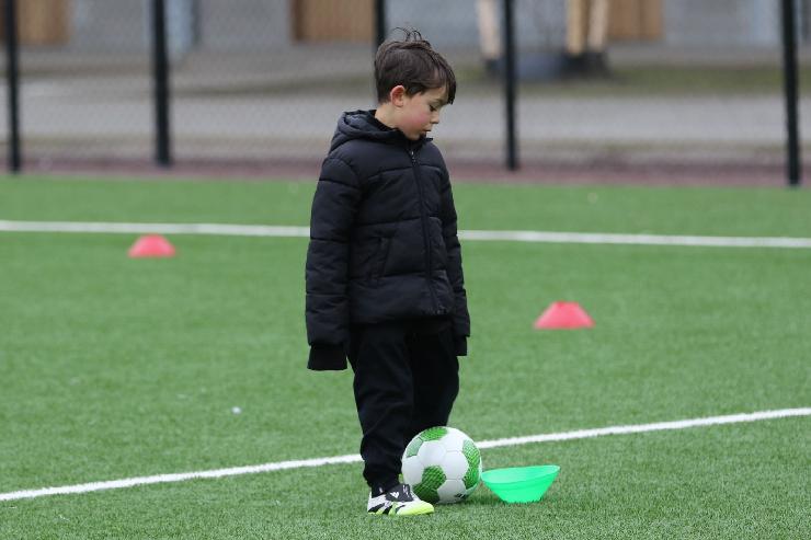 klik hier voor de originele foto (236kB - 1600x1068)