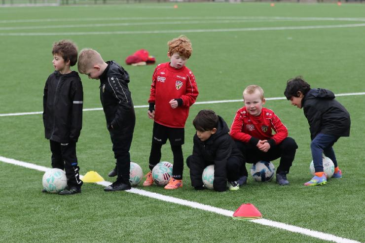 klik hier voor de originele foto (348kB - 1600x1068)