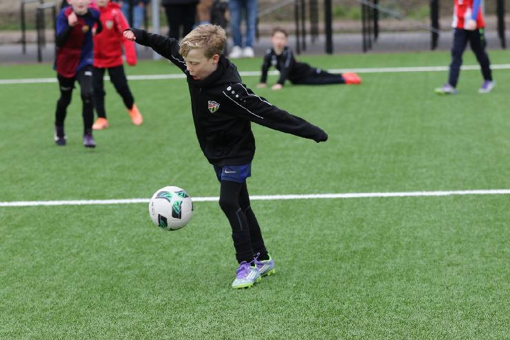 klik hier voor de originele foto (326kB - 1600x1067)