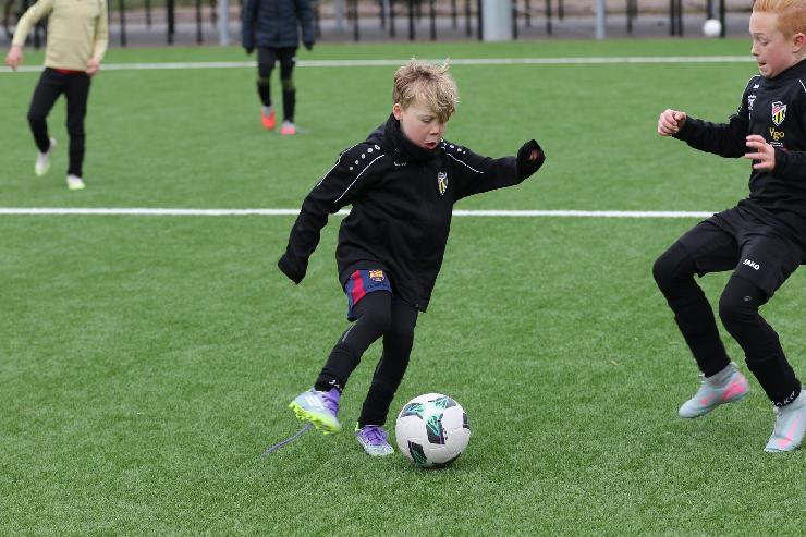 klik hier voor de originele foto (367kB - 1600x1067)