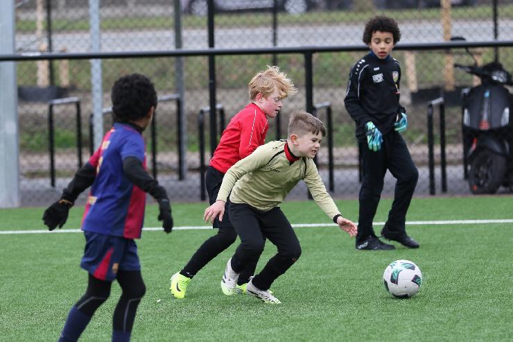 klik hier voor de originele foto (339kB - 1600x1067)