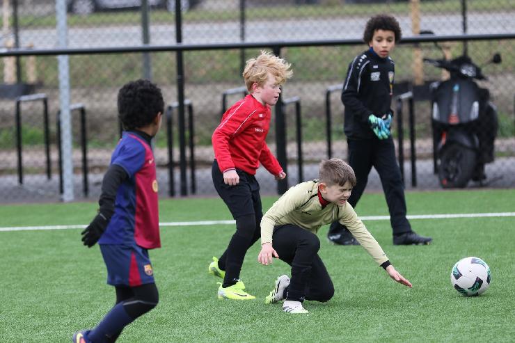 klik hier voor de originele foto (325kB - 1600x1067)