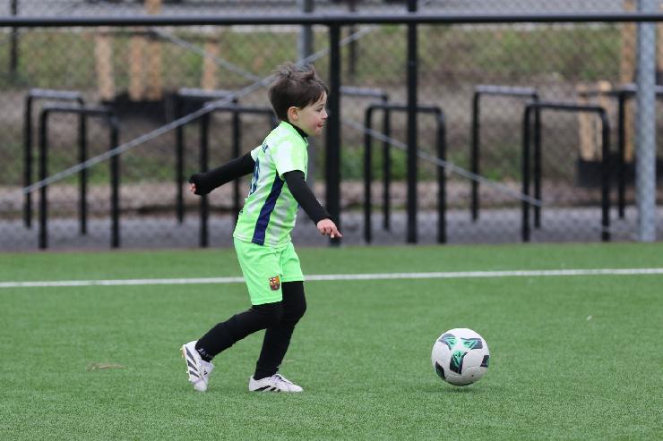 klik hier voor de originele foto (283kB - 1600x1068)