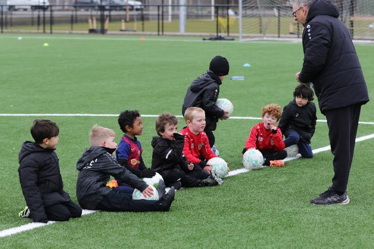 klik hier voor de originele foto (379kB - 1600x1067)